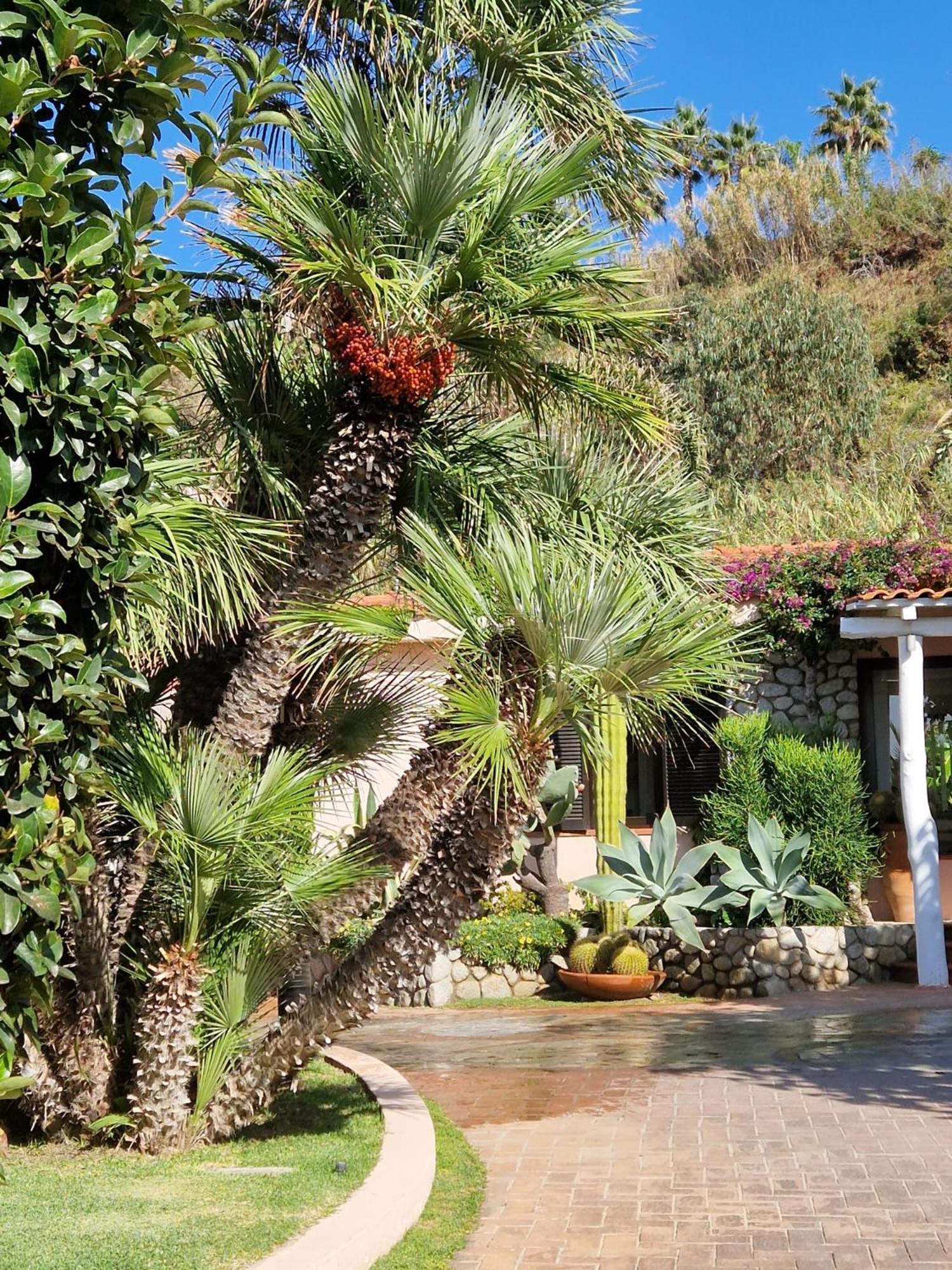 קאפו ואטיצ'אנו Hotel Villaggio Cala Di Volpe מראה חיצוני תמונה