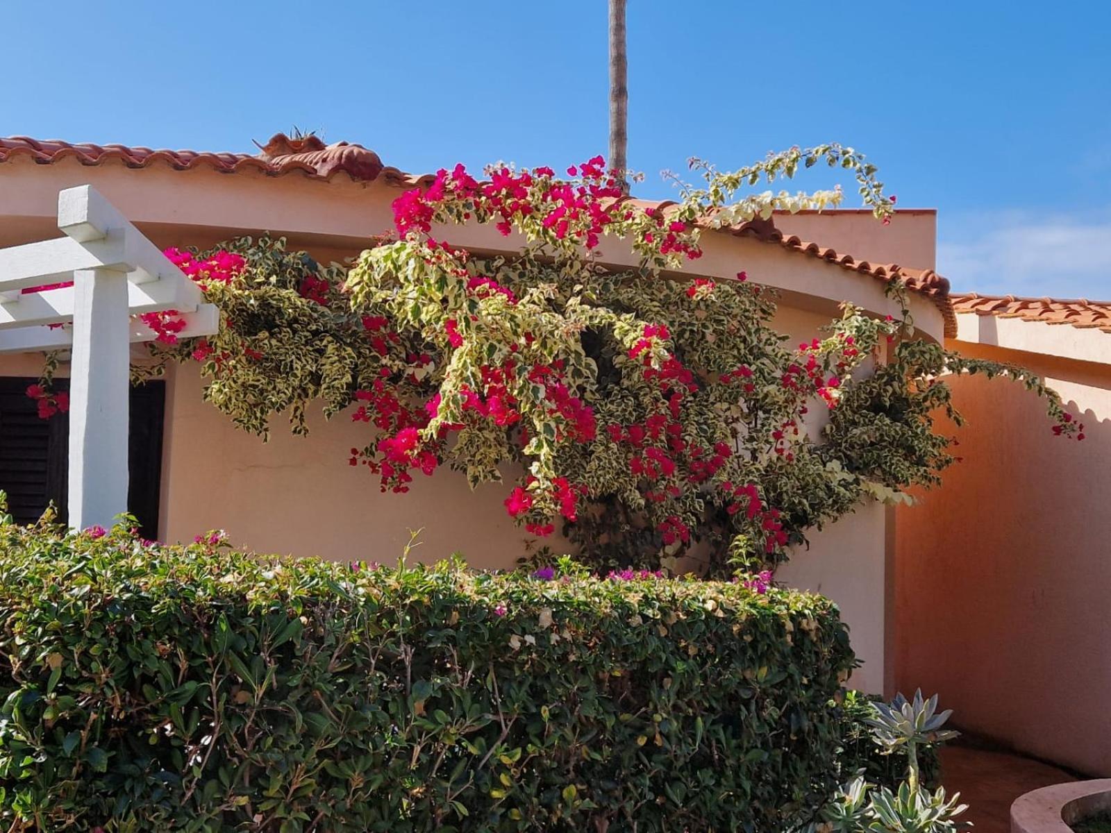 קאפו ואטיצ'אנו Hotel Villaggio Cala Di Volpe מראה חיצוני תמונה