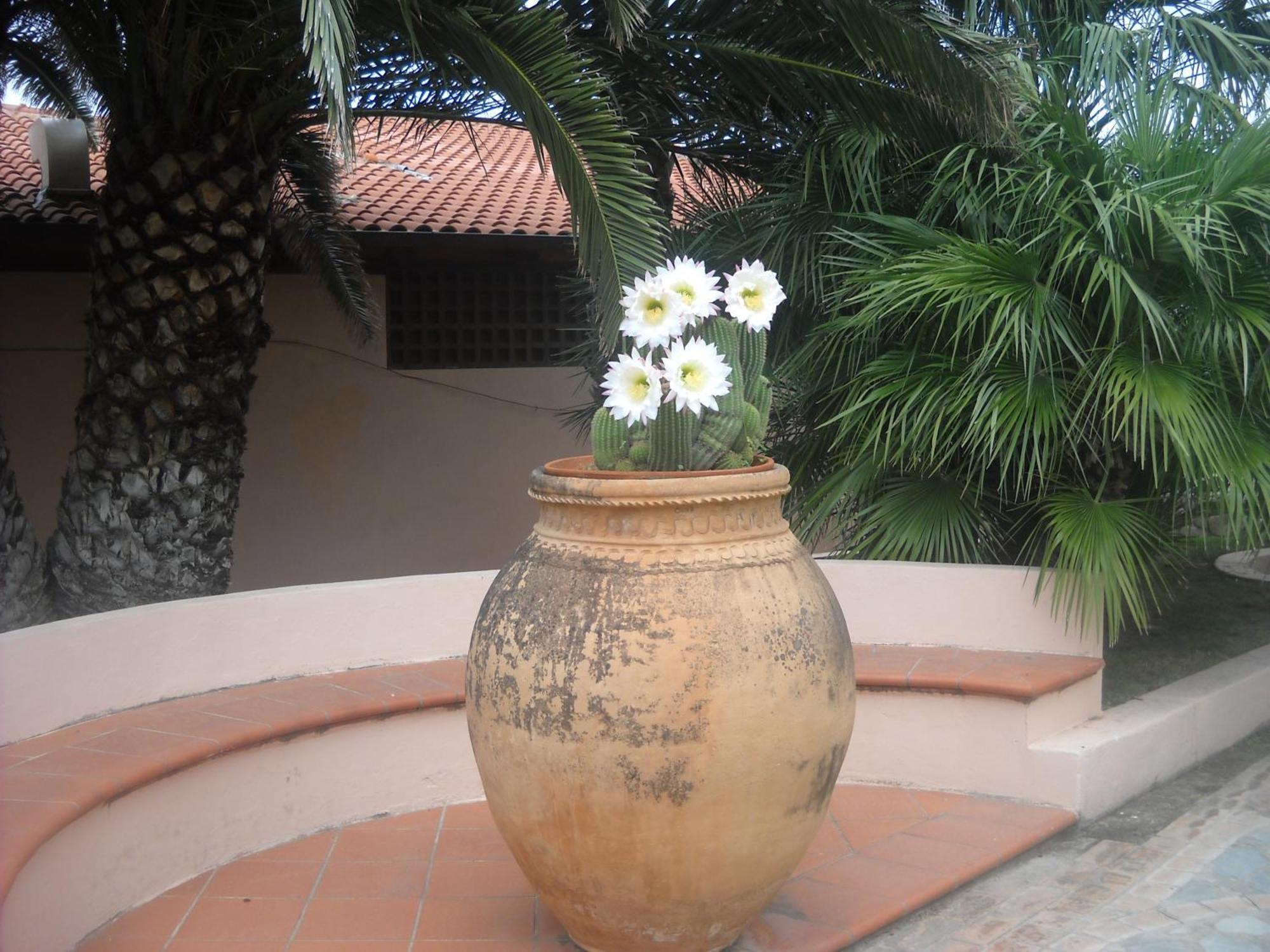 קאפו ואטיצ'אנו Hotel Villaggio Cala Di Volpe מראה חיצוני תמונה